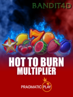 Hot To Burn game cover